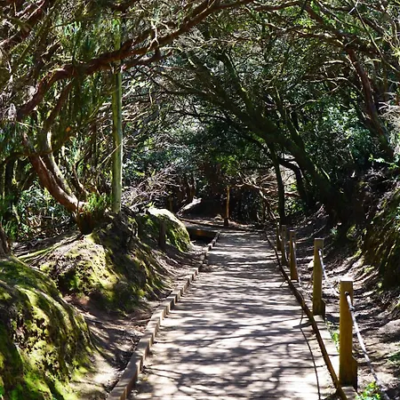 Casa Sami * Playa de las Americas (Tenerife)