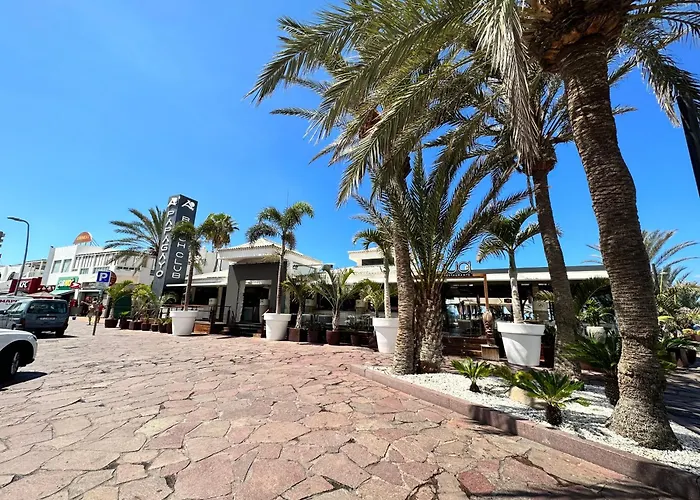 Casa Sami 公寓 美洲海滩