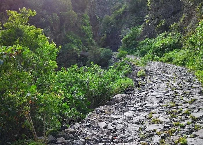 Casa Sami Apartament